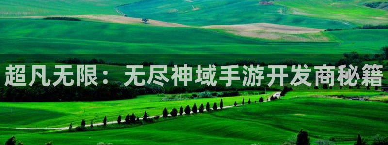 巅峰国际官网：超凡无限：无尽神域手游开发商秘籍