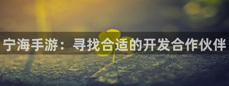 巅峰国际登陆：宁海手游：寻找合适的开发合作伙伴