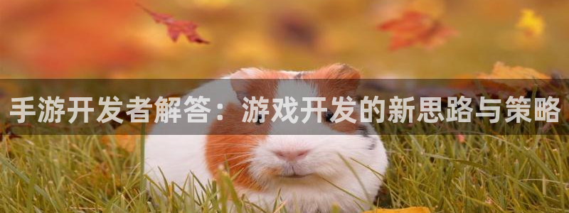 巅峰国际平台：手游开发者解答：游戏开发的新思路与策略