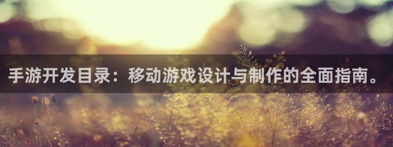 巅峰国际平台：手游开发目录：移动游戏设计与制作的全面指南。