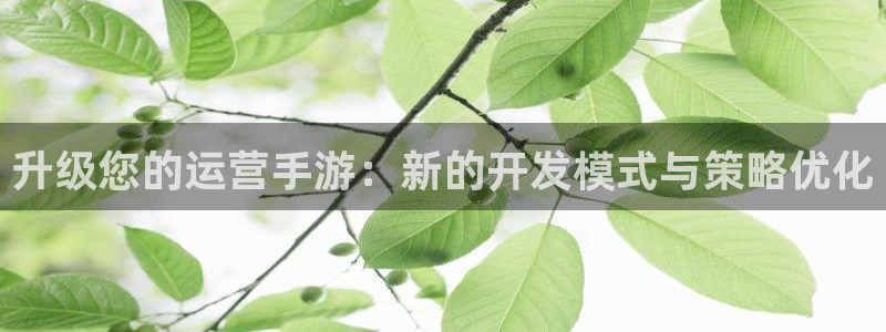 巅峰国际app：升级您的运营手游：新的开发模式与策略优化