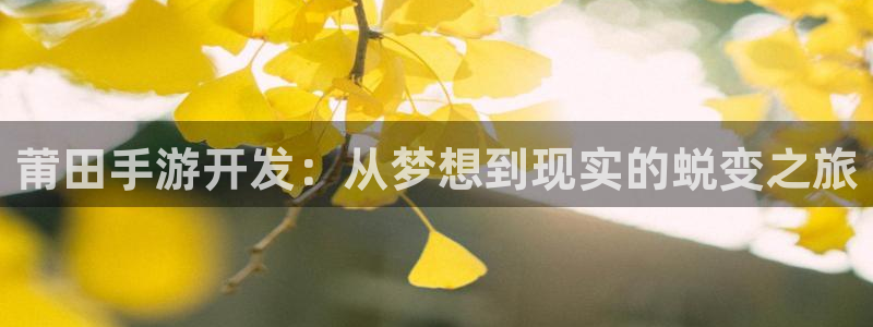 巅峰国际登陆：莆田手游开发：从梦想到现实的蜕变之旅