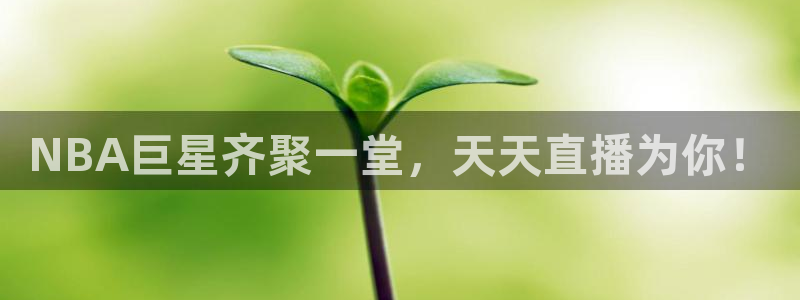 五星体育直播节目：NBA巨星齐聚一堂，天天直播为你！
