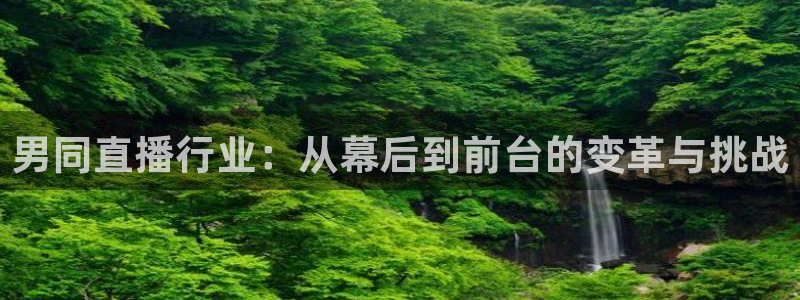 五星体育直播免费观看：男同直播行业：从幕后到前台的变革与挑战