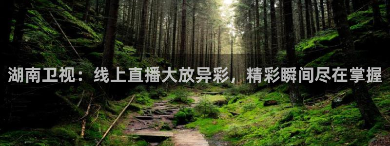 上海五星体育直播回看：湖南卫视：线上直播大放异彩，精彩瞬间尽在掌握