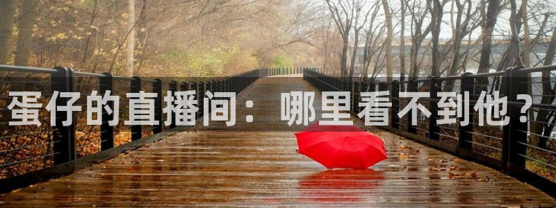五星体育频道免费观看：蛋仔的直播间：哪里看不到他？