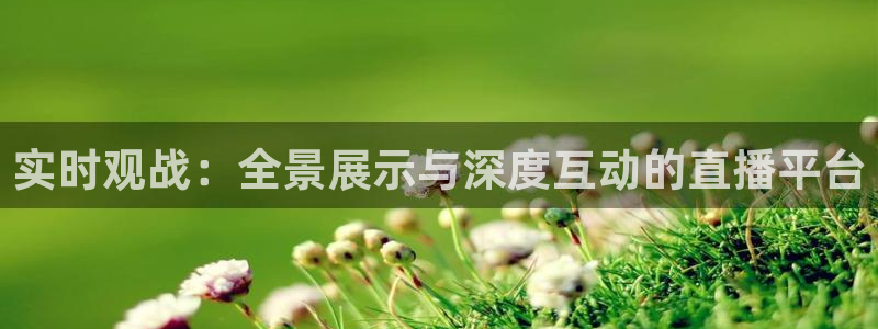 上海五星体育直播频道：实时观战：全景展示与深度互动的直播平台