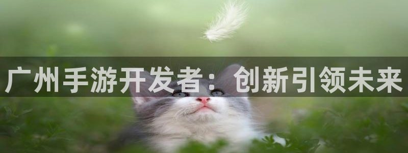巅峰国际登录：广州手游开发者：创新引领未来