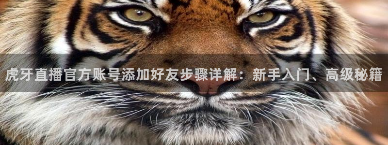 五星体育主页：虎牙直播官方账号添加好友步骤详解：新手入门、高级秘籍