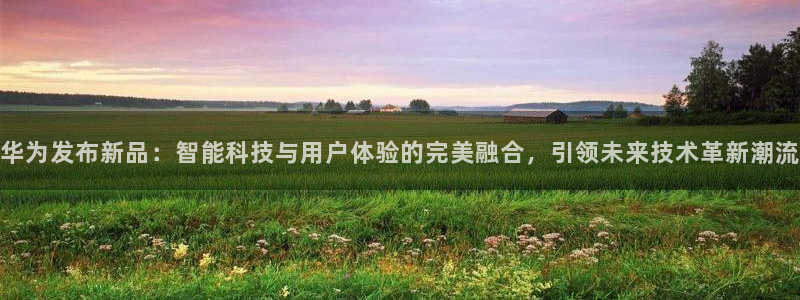 五星体育王政：华为发布新品：智能科技与用户体验的完美融合，引领未来技术革新潮流