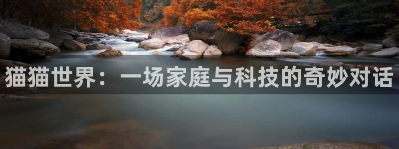 f1 五星体育 直播：猫猫世界：一场家庭与科技的奇妙对话