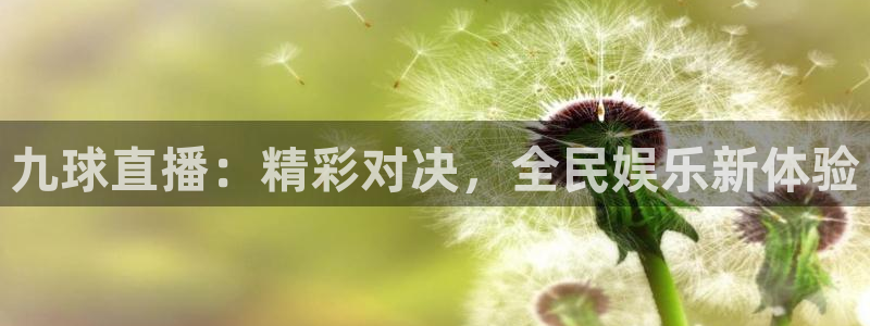 上海8频道五星体育：九球直播：精彩对决，全民娱乐新体验