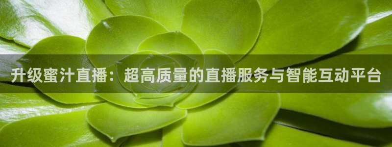 安卓五星体育：升级蜜汁直播：超高质量的直播服务与智能互动平台