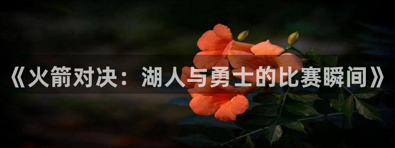 上海五星体育直播回放：《火箭对决：湖人与勇士的比赛瞬间》