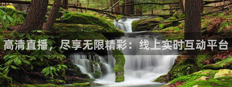 五星体育直播间：高清直播，尽享无限精彩：线上实时互动平台